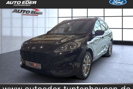 Ford Kuga Gebrauchtwagen