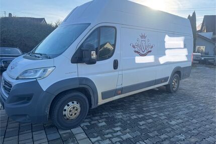 Fiat Ducato Gebrauchtwagen
