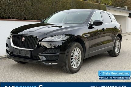 Jaguar F-Pace Gebrauchtwagen