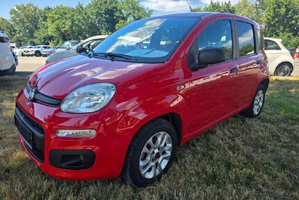Fiat Panda Gebrauchtwagen