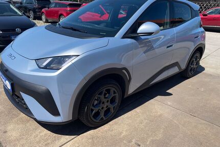BYD DOLPHIN Gebrauchtwagen
