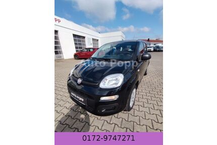 Fiat Panda Gebrauchtwagen