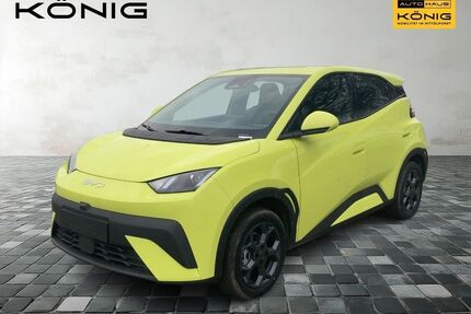 BYD DOLPHIN Gebrauchtwagen