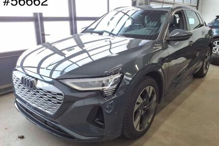 Audi Q8 e-tron Gebrauchtwagen
