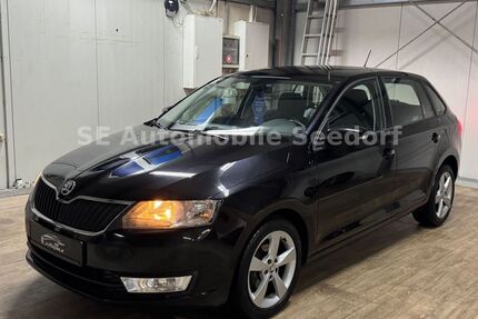 Skoda Rapid Gebrauchtwagen