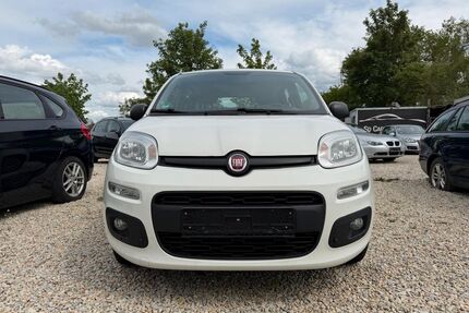 Fiat Panda Gebrauchtwagen