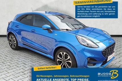Ford Puma Gebrauchtwagen