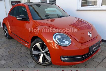VW Beetle Gebrauchtwagen