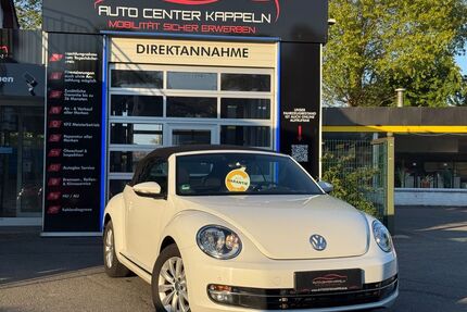 VW Beetle Gebrauchtwagen
