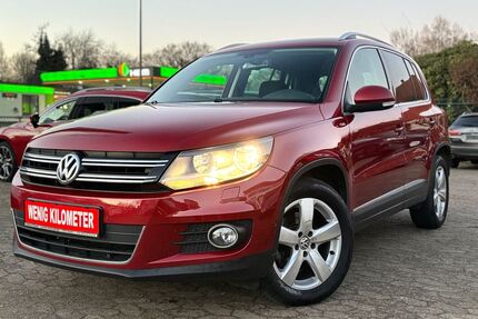VW Tiguan Gebrauchtwagen