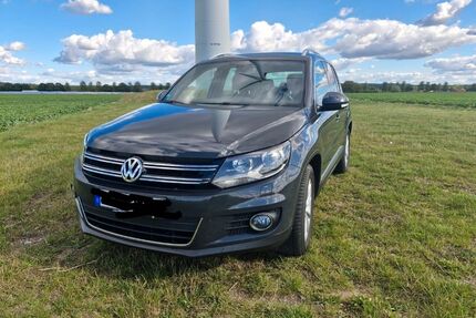 VW Tiguan Gebrauchtwagen