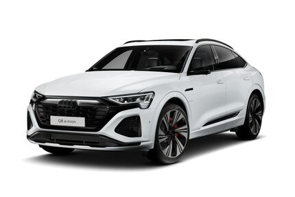 Audi Q8 e-tron Gebrauchtwagen