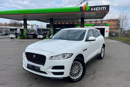 Jaguar F-Pace Gebrauchtwagen