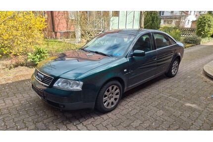 Audi A6 Gebrauchtwagen