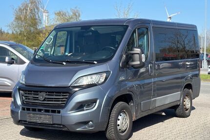 Fiat Ducato Gebrauchtwagen