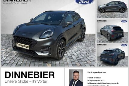 Ford Puma Gebrauchtwagen