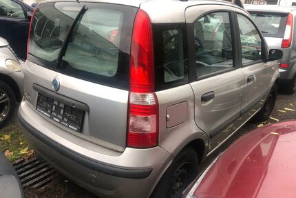 Fiat Panda Gebrauchtwagen