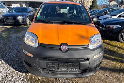 Fiat Panda Gebrauchtwagen