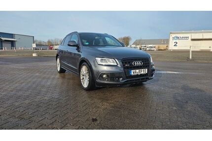 Audi SQ5 Gebrauchtwagen