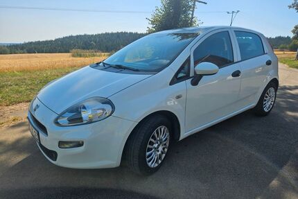 Fiat Punto Gebrauchtwagen