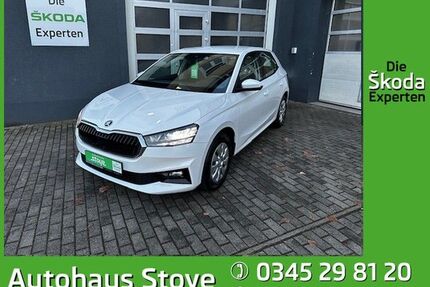Skoda Fabia Gebrauchtwagen