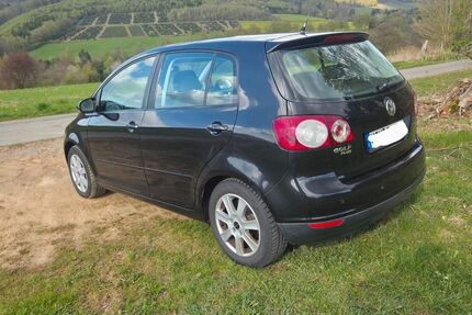 VW Golf Plus Gebrauchtwagen