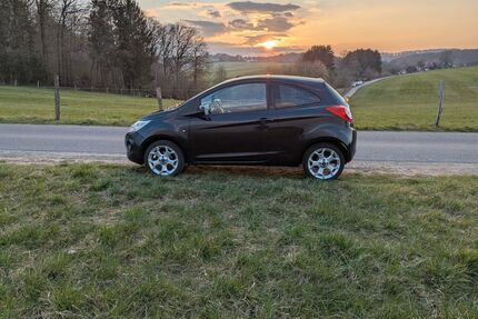 Ford Ka/Ka+ Gebrauchtwagen