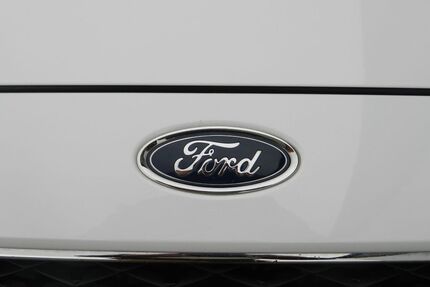 Ford Tourneo Custom Gebrauchtwagen