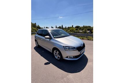 Skoda Fabia Gebrauchtwagen