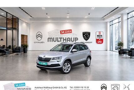 Skoda Karoq Gebrauchtwagen