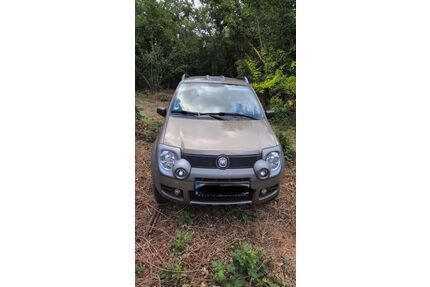Fiat Panda Gebrauchtwagen