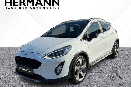 Ford Fiesta Gebrauchtwagen