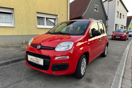 Fiat Panda Gebrauchtwagen