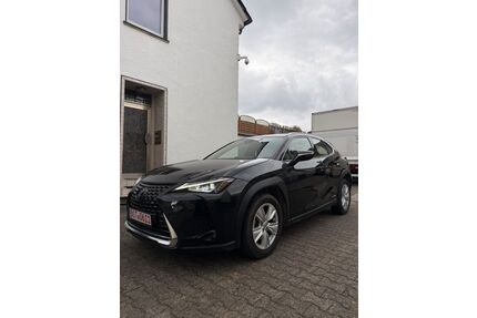 Lexus UX Gebrauchtwagen
