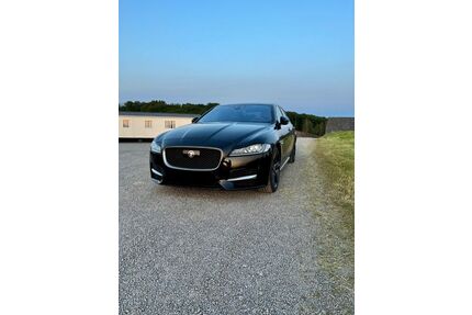 Jaguar XF Gebrauchtwagen