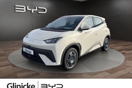 BYD DOLPHIN Gebrauchtwagen