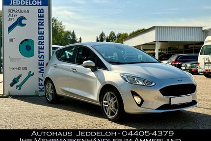 Ford Fiesta Gebrauchtwagen