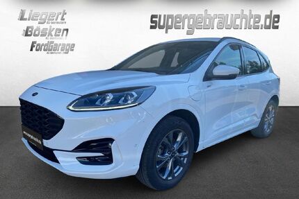 Ford Kuga Gebrauchtwagen