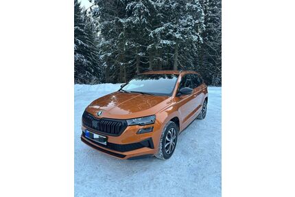 Skoda Karoq Gebrauchtwagen