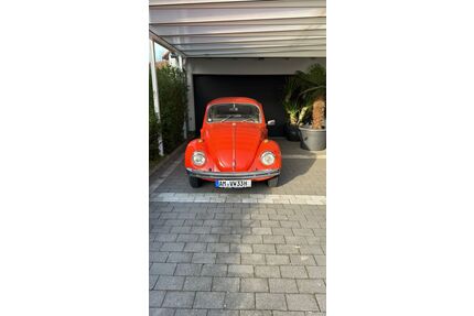 VW Käfer Gebrauchtwagen