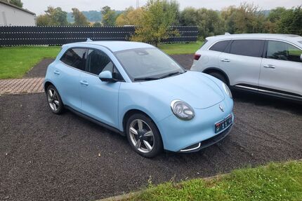 ORA Funky Cat Gebrauchtwagen