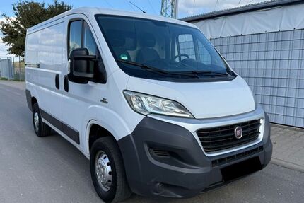 Fiat Ducato Gebrauchtwagen