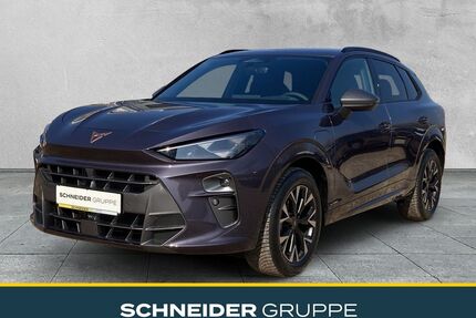 Cupra Terramar Gebrauchtwagen