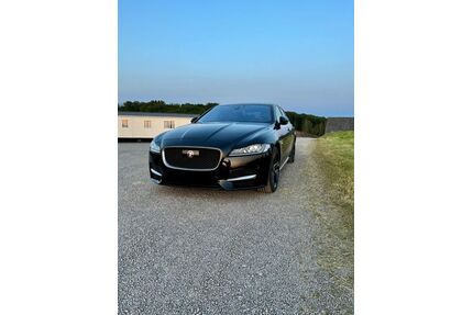 Jaguar XF Gebrauchtwagen