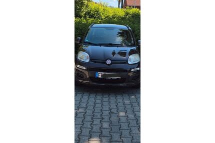 Fiat Panda Gebrauchtwagen