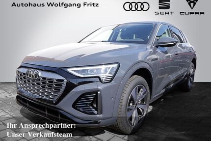 Audi Q8 e-tron Gebrauchtwagen