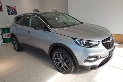 Opel Grandland (X) Gebrauchtwagen