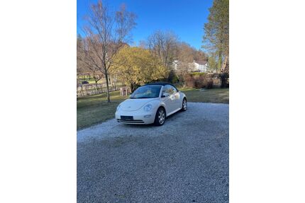 VW Beetle Gebrauchtwagen