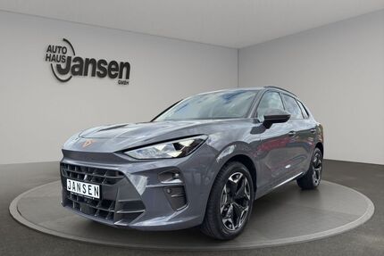 Cupra Terramar Gebrauchtwagen