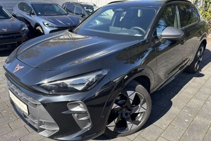 Cupra Terramar Gebrauchtwagen